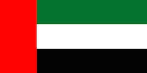 Flag of the United Arab Emirates.svg.png