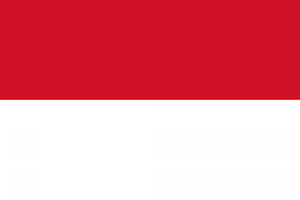 Flag of Indonesia.svg.png