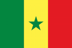 Flag of Senegal.svg.png