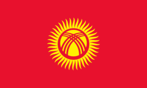 Flag of Kyrgyzstan.svg.png